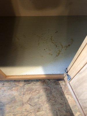 Dried mystery spills in the cabinets