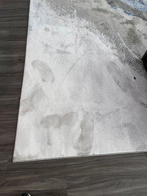 Ruined carpet