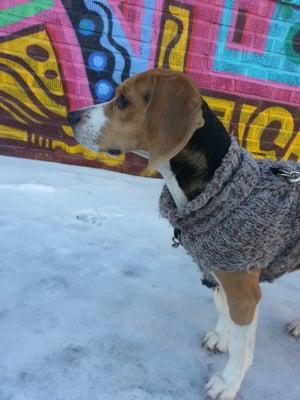 Louise on her daily walk around Bushwick. She's the coolest.