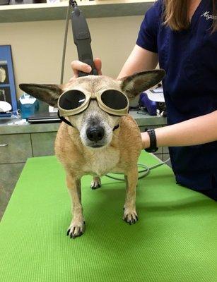 Penni and cold laser therapy