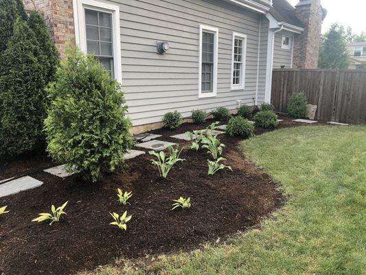 New garden installed at the side of the house.