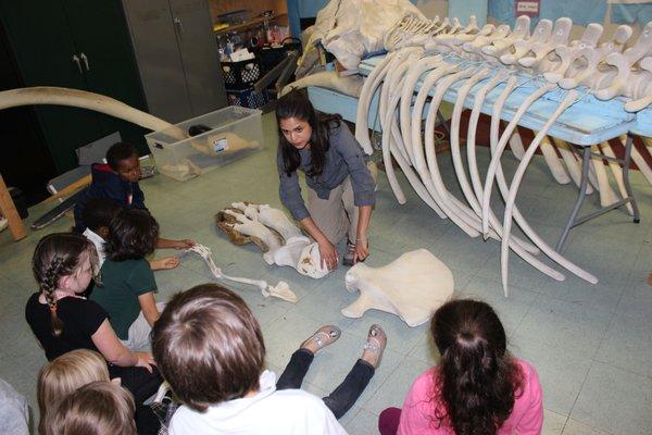 Whale Week (Mission Science Workshop) comes to Flynn! May 2016