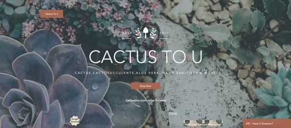 Cactus To U Website For Sale