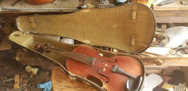 Stringed Instruments Restoration & Making