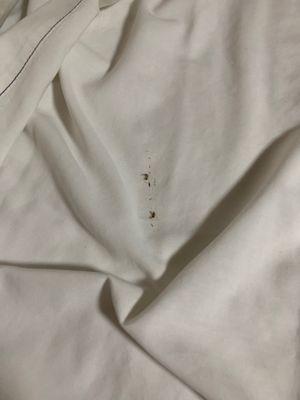 Dead bugs in the bed