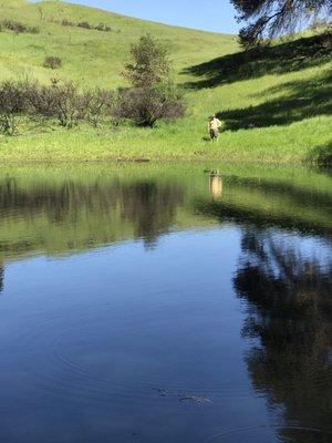 Turtle pond