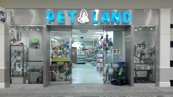 outside Pet Land (taken from their facebook page, sorry)