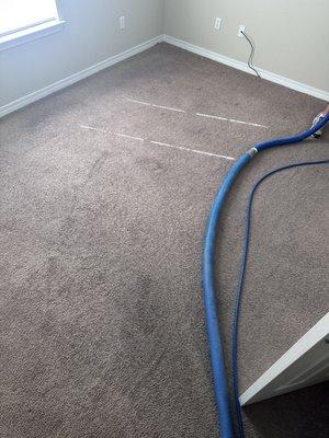 Coastal Carpet & Tile Cleaning