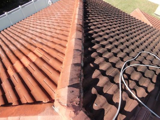 Tile or asphalt roof , it does not matter what you have on top of your home , we treat it as if it was our own. Safe Roof Clean