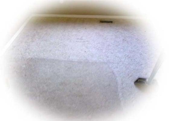 Barney's Carpet Cleaning.  Carpet Cleaner in Boise, Idaho.  We are located at 2128 Vista Avenue#1 Boise, Idaho 83705.