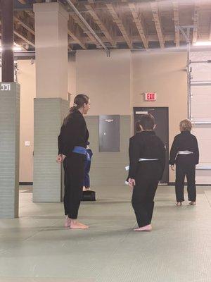 The Jiu Jitsu Institute