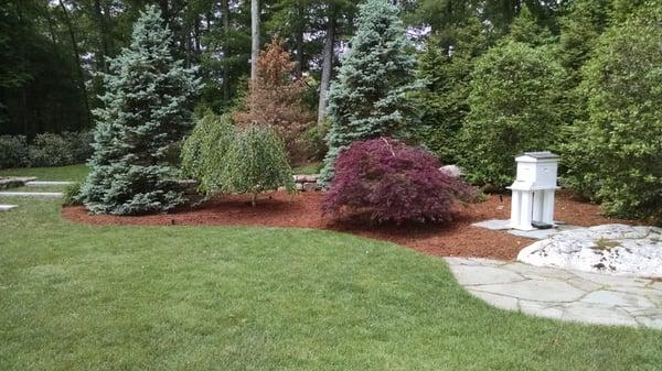 After a through structural prune on Ornamental Trees.