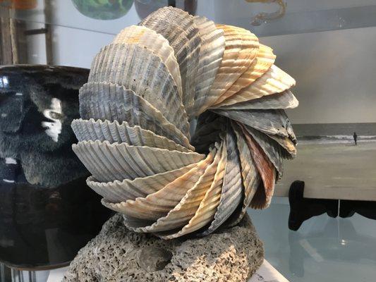 Unique shell creations!