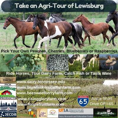 Agritourism Tours