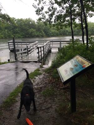 Fishing dock