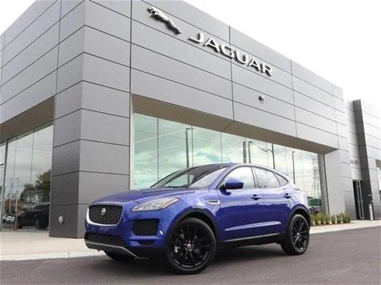 Jaguar Clearwater