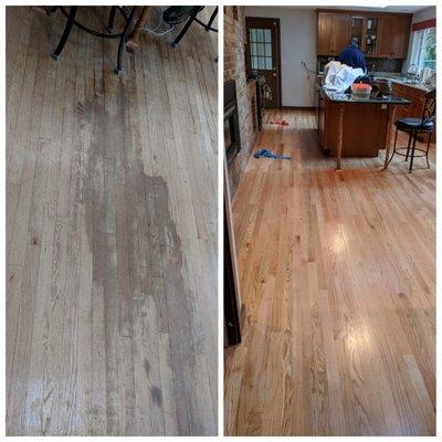 Start To Finish Hardwood Floors