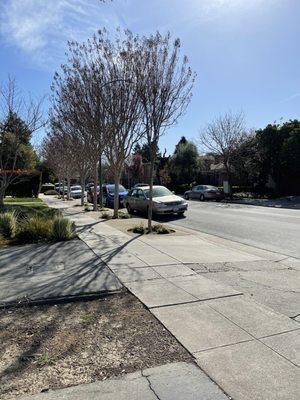 Plenty of street parking