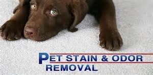 Pet Stain & Odor Removal