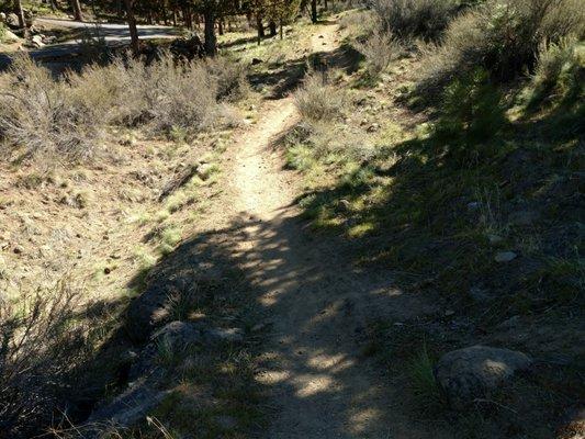 Archie Briggs Canyon Trail