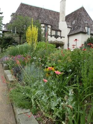 Bobbie's west bed in June