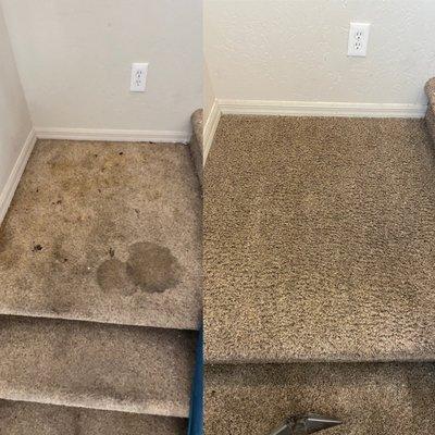 Best Clean Carpet, Tile, and Upholstery