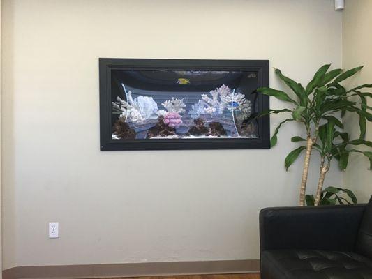 The fish tank in the waiting room.