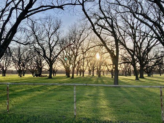 We went for a walk and got to enjoy this beautiful sunset directly across the street!