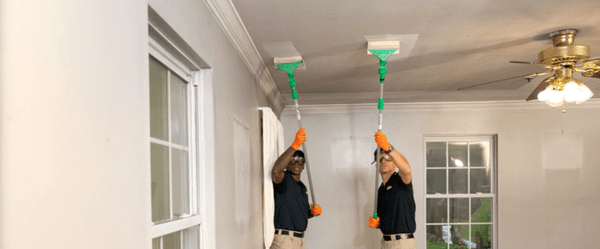 SERVPRO of North Raleigh & Wake Forest