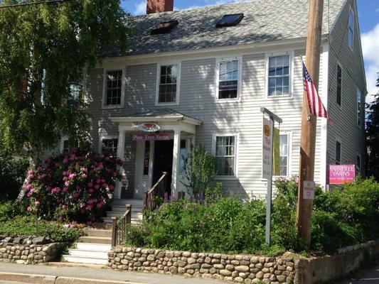 Pine Tree Yarns is in the historic Nathaniel Austin House