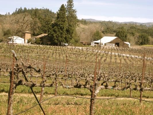 Russian River Wine Road Barrel Tasting