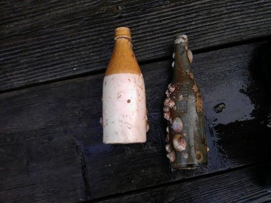 Old bottles found while diving