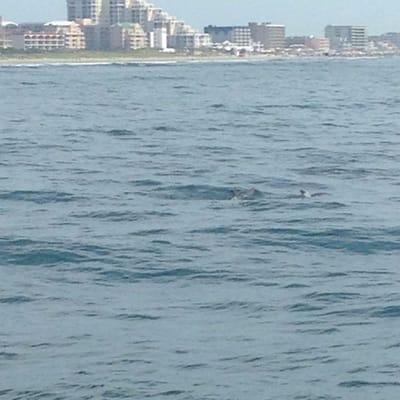 Wildwood crest from the boat and if you look close dolphin. I saw a bunch jumping out of the water but I didn't get pictures