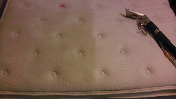 Mattress Cleaning Lexington KY - Before & After