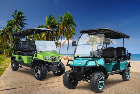 Green Iguana Rentals