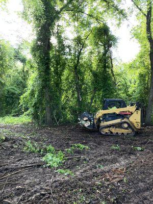 Land clearing and grading getting done!