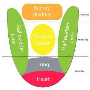 Chinese Tongue Diagnosis