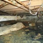 Basement Flood