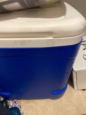 After I had to scrub the dirt and scuffs off of the cooler that was a gift.