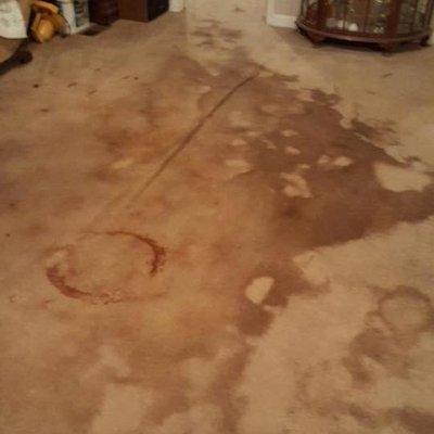 Southwind Carpet Cleaning Service, Before Cleaning