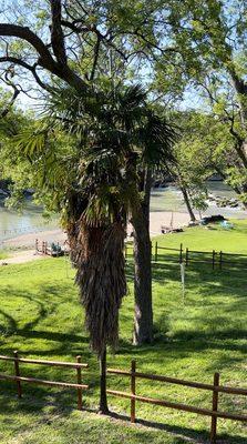 Scenic view off back deck.