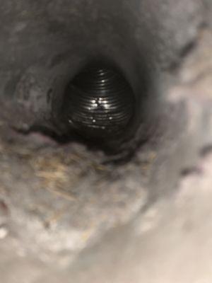 Dryer vent cleaning