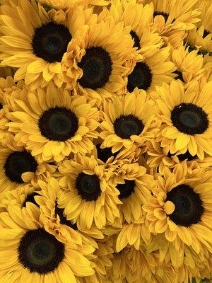 Sunflowers