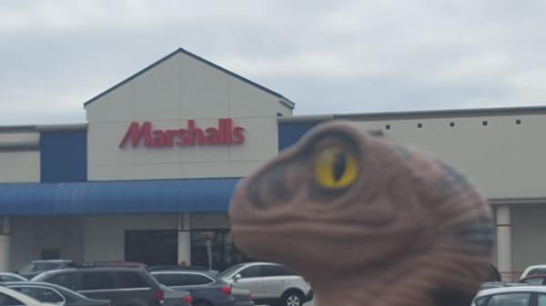 Marshalls