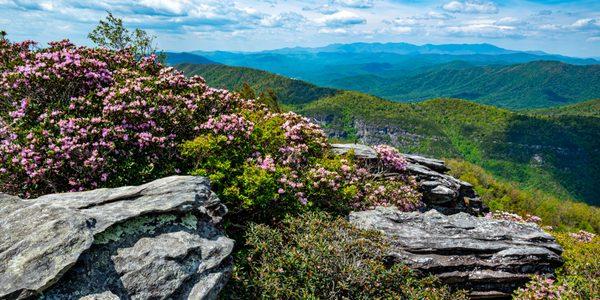 Linville Gorge--photo by J.M.Davidson/Orchard Hill Media