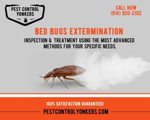 Bed Bugs Extermination