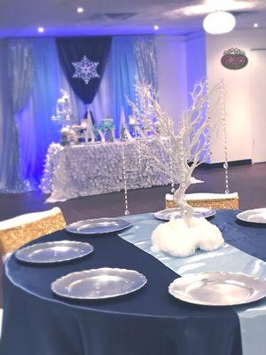 Winter Wonderland Baby Shower Styled by us!  Ask about our packages.