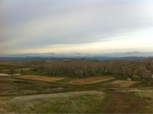 Overlooking the dressage arenas.