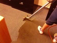 Barney's Carpet Cleaning.  Boise Carpet Cleaning. 208-343-5577.  We are located at 2128 Vista Avenue #1.