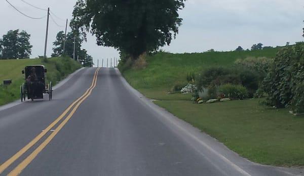 Amish in one of the many horse drawn carriages I saw driving towards Quarryville.